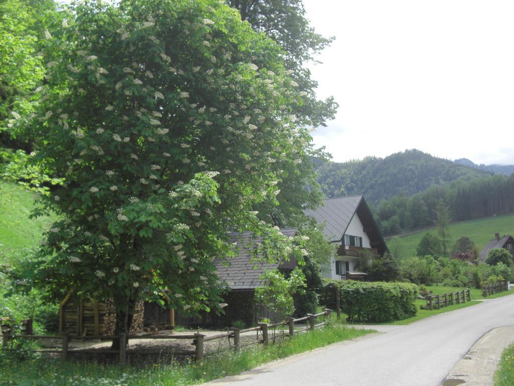 Ferienwohnung Lange Göstling an der Ybbs Exteriör bild
