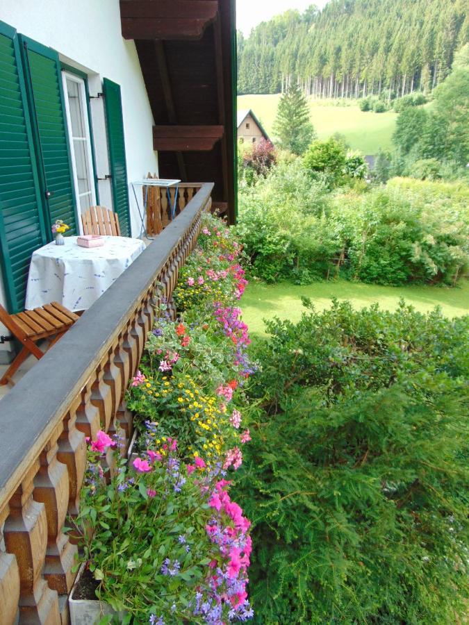 Ferienwohnung Lange Göstling an der Ybbs Exteriör bild
